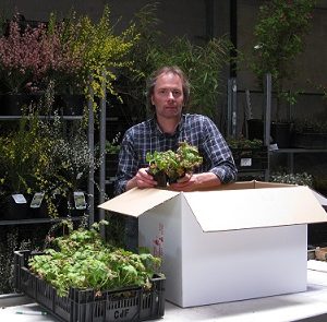 Yves_planten_klein Contact Atuin