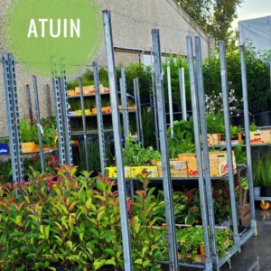 atuin-bestellingen-haagplanten-kwekerij Haagplanten en struiken op karren voor bestellingen bij ATuin