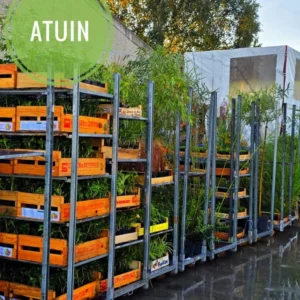 atuin-levering-bodembedekkers-online-tuincentrum Karren met bodembedekkers klaar voor levering bij ATuin online tuincentrum