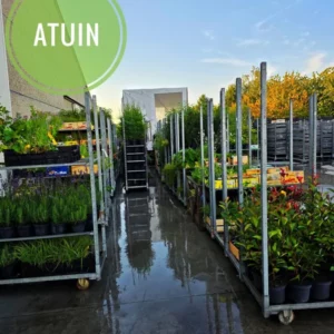 atuin-overzicht-bestellingen-tuin -haagplanten Bestellingen tuin en haagplanten klaar voor transport met eigen vrachtwagen ATuin